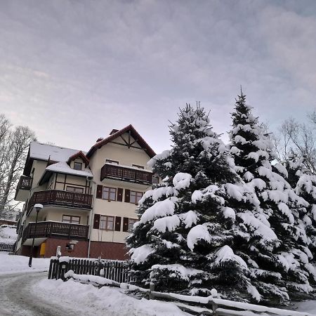 Apartament Amsterdam, 4 Os, Sauna, Sala Fitness Schreiberhau Exterior foto