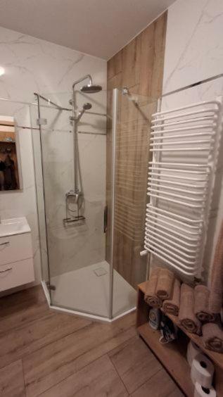 Apartament Amsterdam, 4 Os, Sauna, Sala Fitness Schreiberhau Exterior foto